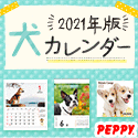 犬・猫の総合情報サイト『PEPPY（ペピイ）』