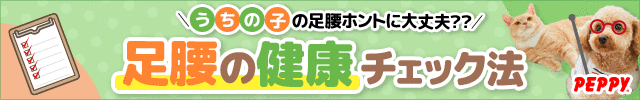 犬・猫の総合情報サイト『PEPPY（ペピイ）』