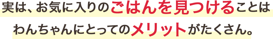 実は、お気に入りのごはんを見つけることはわんちゃんにとってのメリットがたくさん。
