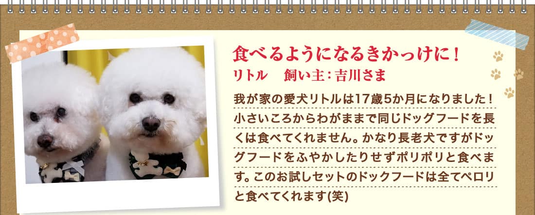 食べるようになるきかっけに!リトル 飼い主:吉川さま 我が家の愛犬リトルは17歳5か月になりました!小さいころからわがままで同じドッグフードを長くは食べてくれません。かなり長老犬ですがドッグフードをふやかしたりせずポリポリと食べます。このお試しセットのドックフードは全てペロリと食べてくれます(笑)