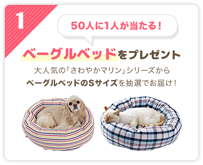 50人に1人が当たる!ベーグルベッドをプレゼント
