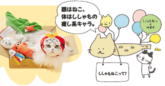 Happy ペピイbox ペット用品の通販サイト ペピイ Peppy