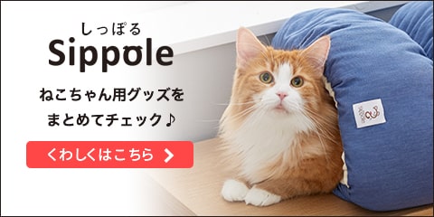 Sippole しっぽる 猫用の上質ベッドやキャットタワーの商品一覧