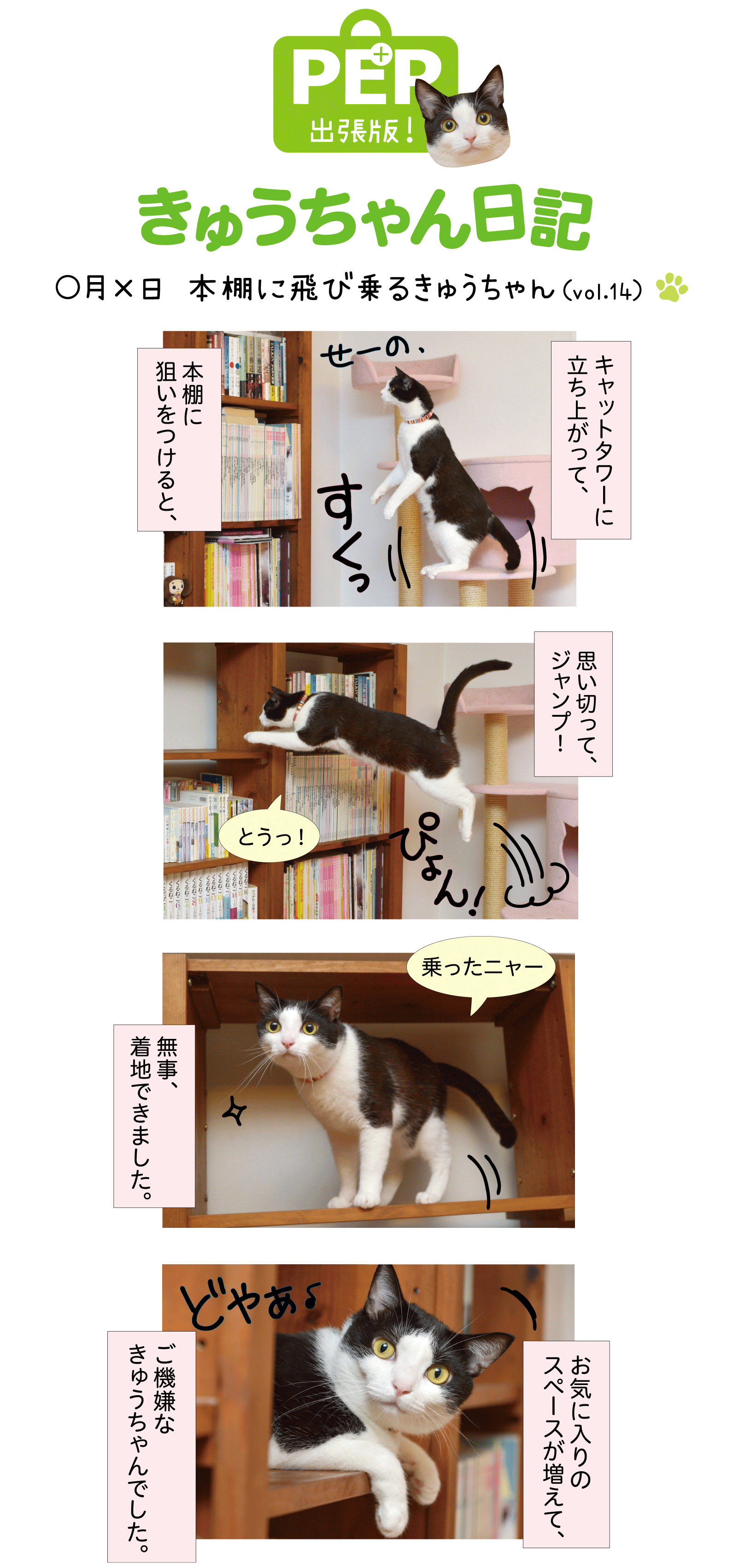 きゅうちゃん日記