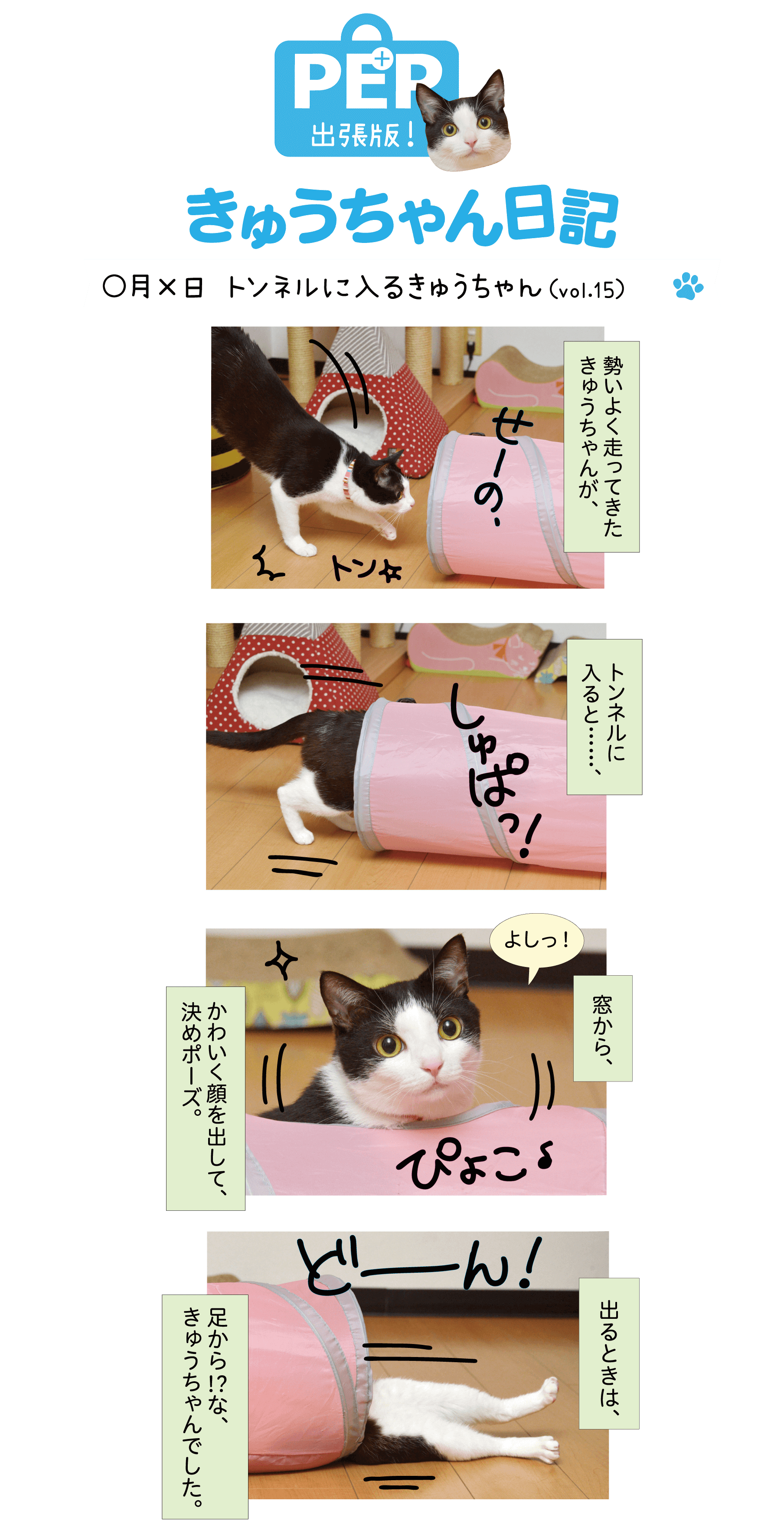 きゅうちゃん日記