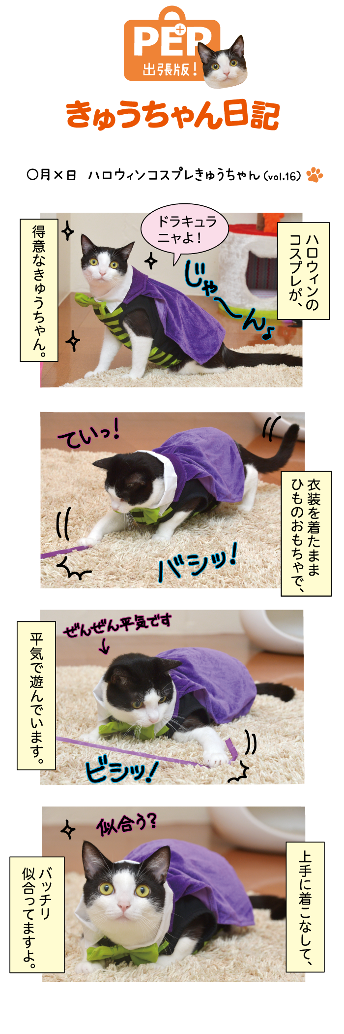 きゅうちゃん日記