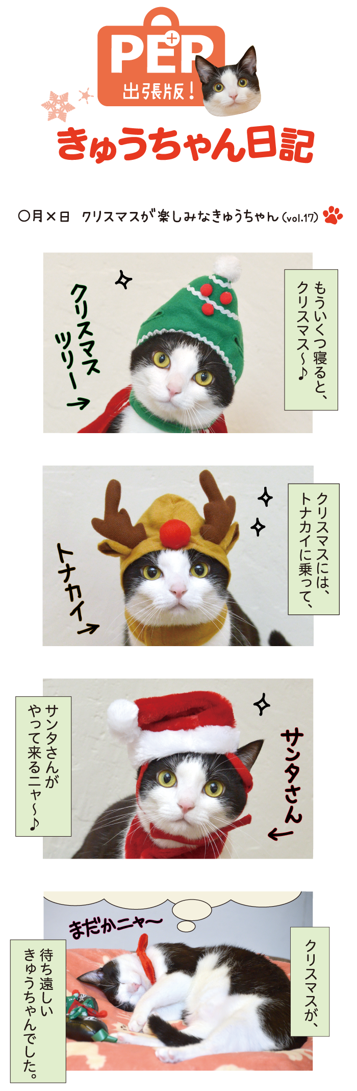 きゅうちゃん日記