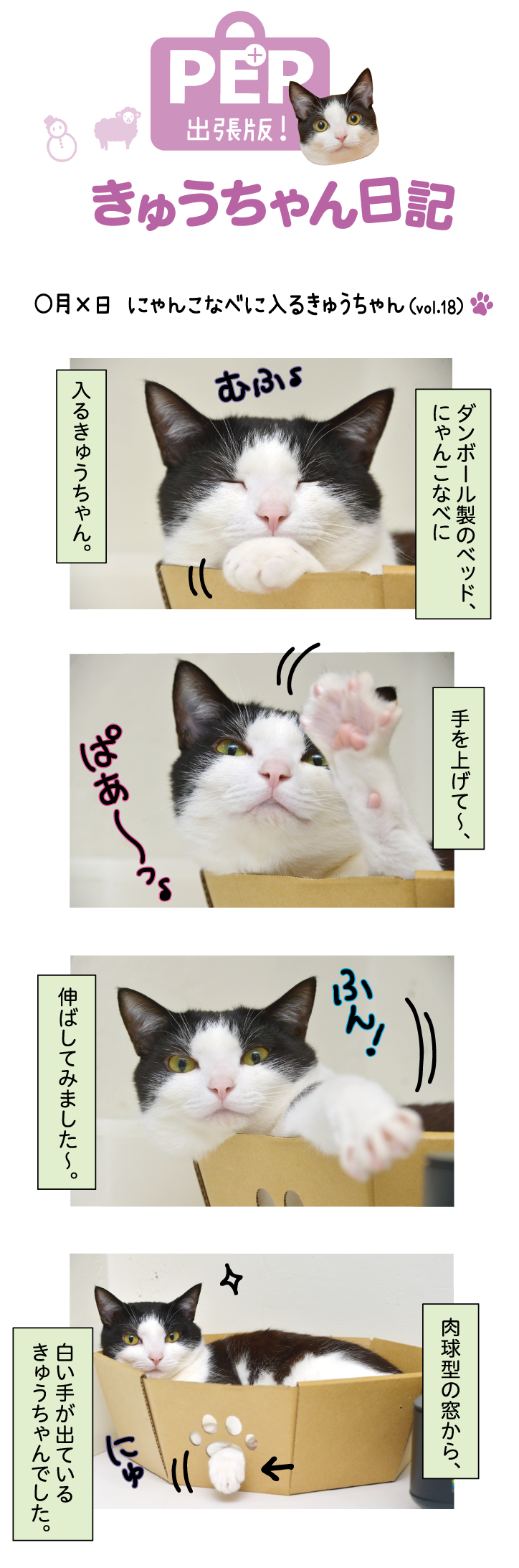 きゅうちゃん日記
