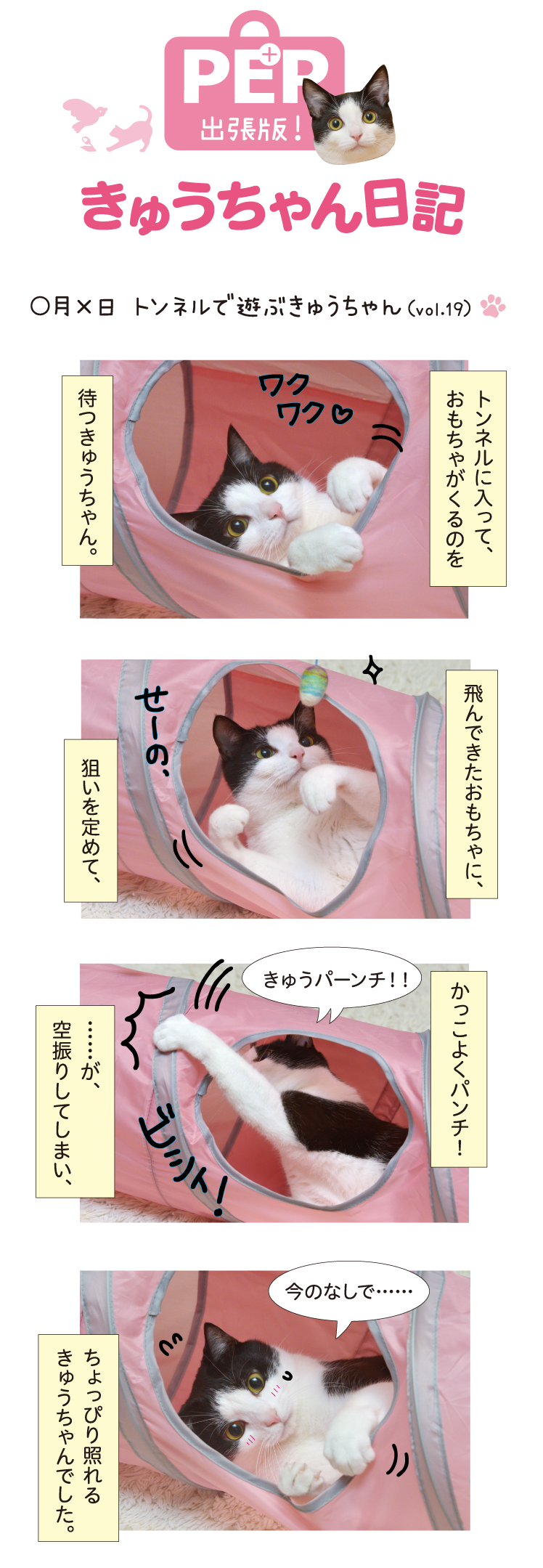 きゅうちゃん日記