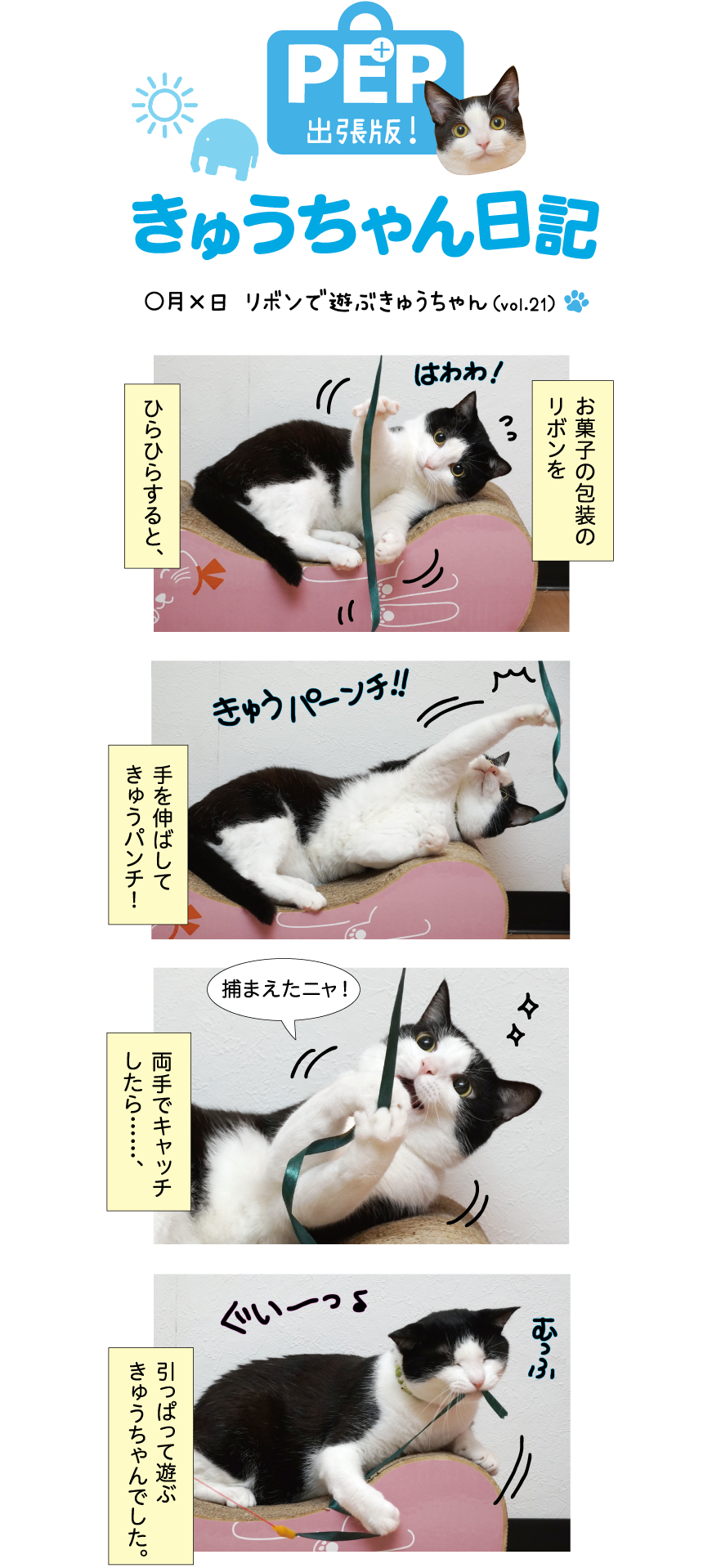 きゅうちゃん日記