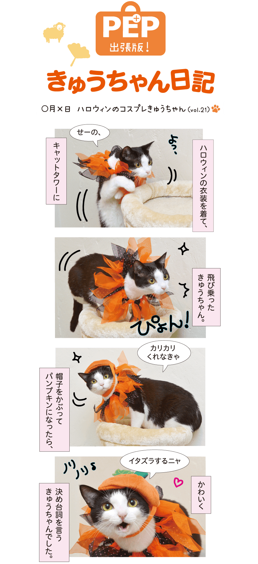 きゅうちゃん日記