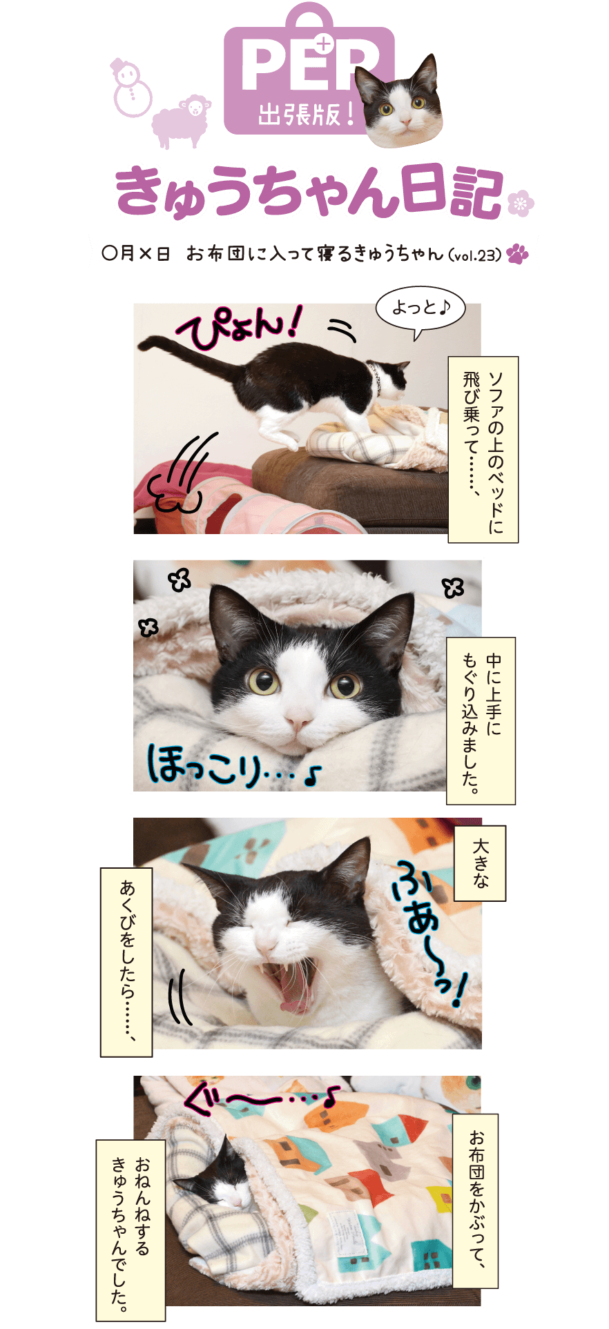きゅうちゃん日記