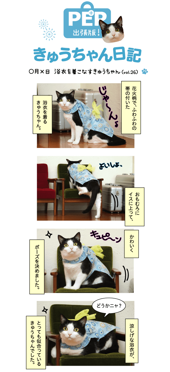 きゅうちゃん日記