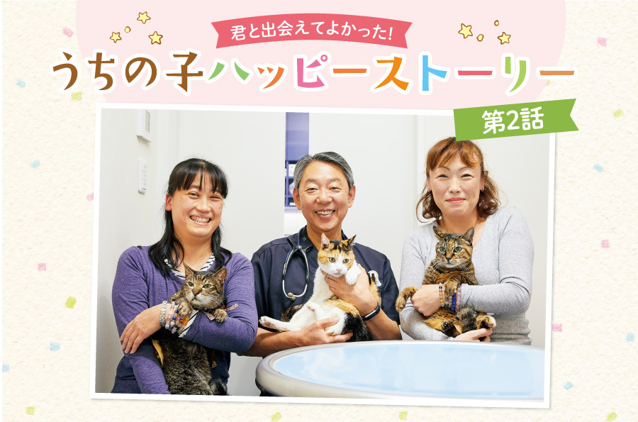 愛猫との毎日にはステキな瞬間も悩みもいっぱい