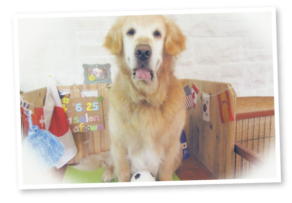 今のかかりつけの動物病院は担当獣医師を指名できると聞いて来院して以来23年間通っています