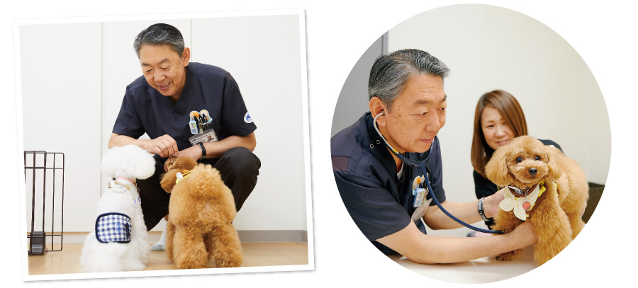 先代犬が亡くなった時は悲しかったが他の子達の世話をすることで気が紛れて立ち直るのが早かった