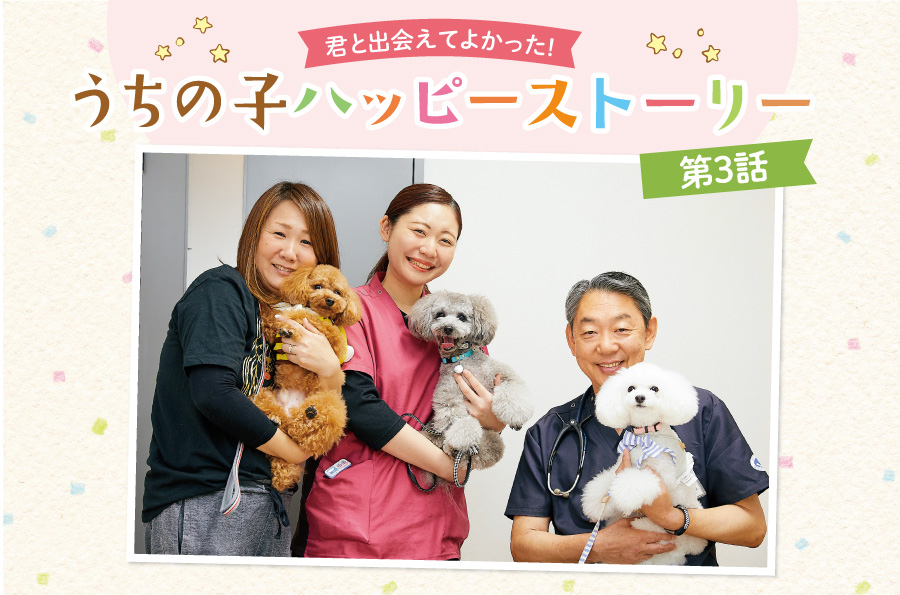 愛犬との毎日にはステキな瞬間も悩みもいっぱい