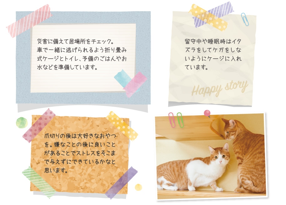 体のケアはもちろん安全にも気を付けています。