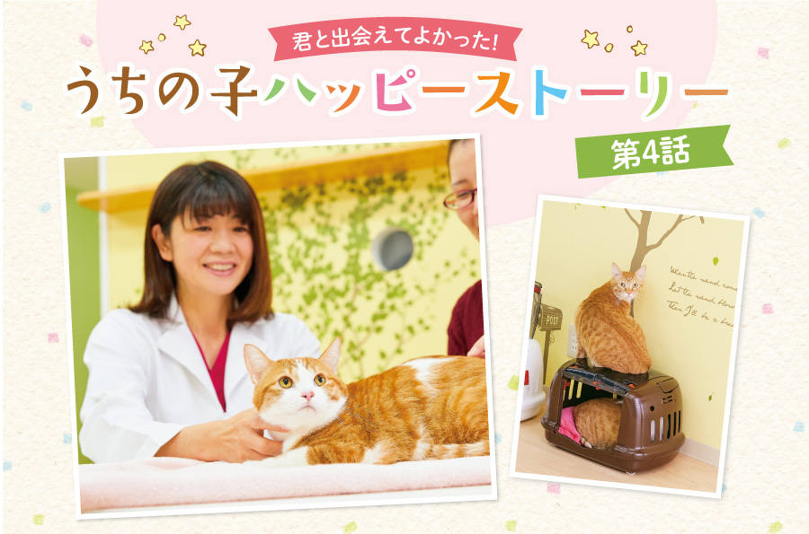 愛猫との毎日にはステキな瞬間も悩みもいっぱい