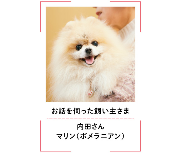 お話を伺った飼い主さま