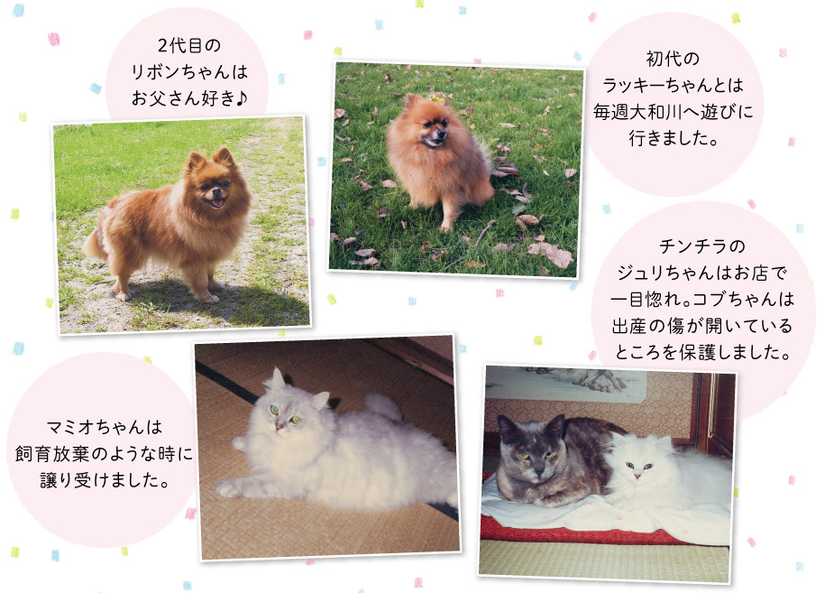 歴代わんこ&にゃんこ大公開