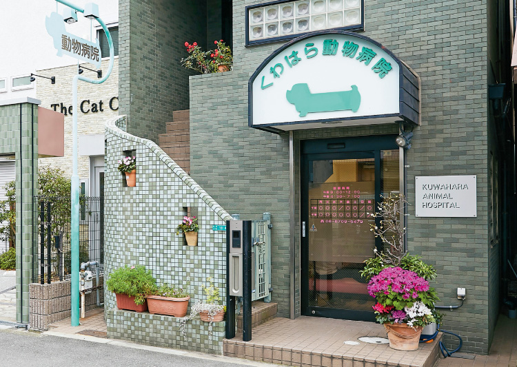 くわはら動物病院