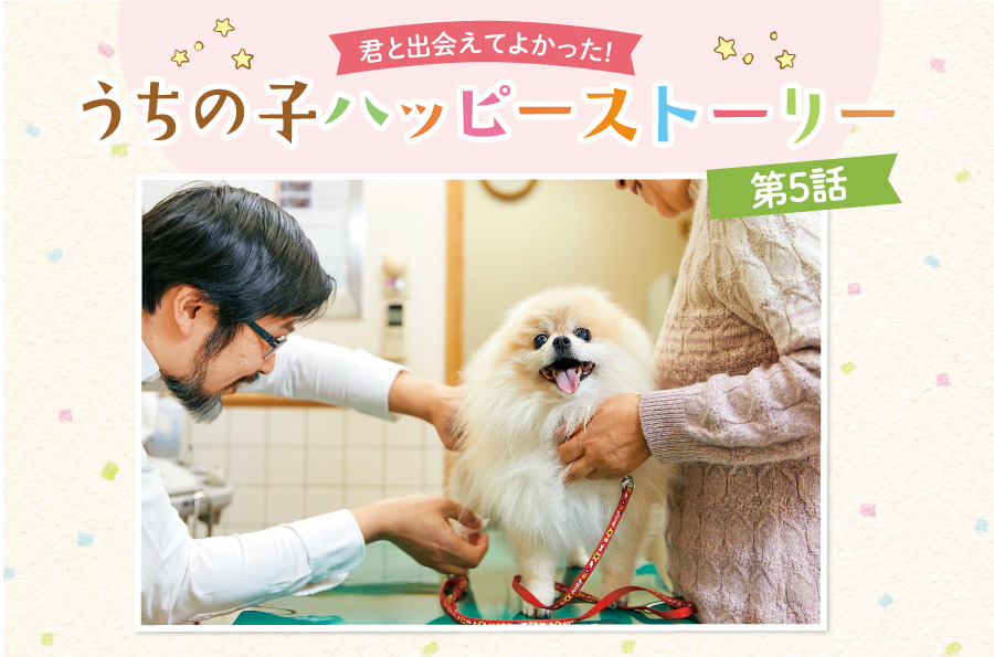 愛犬との毎日にはステキな瞬間も悩みもいっぱい