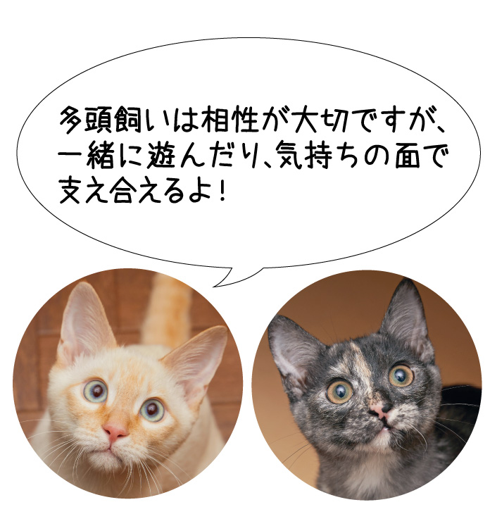 くわはら動物病院
