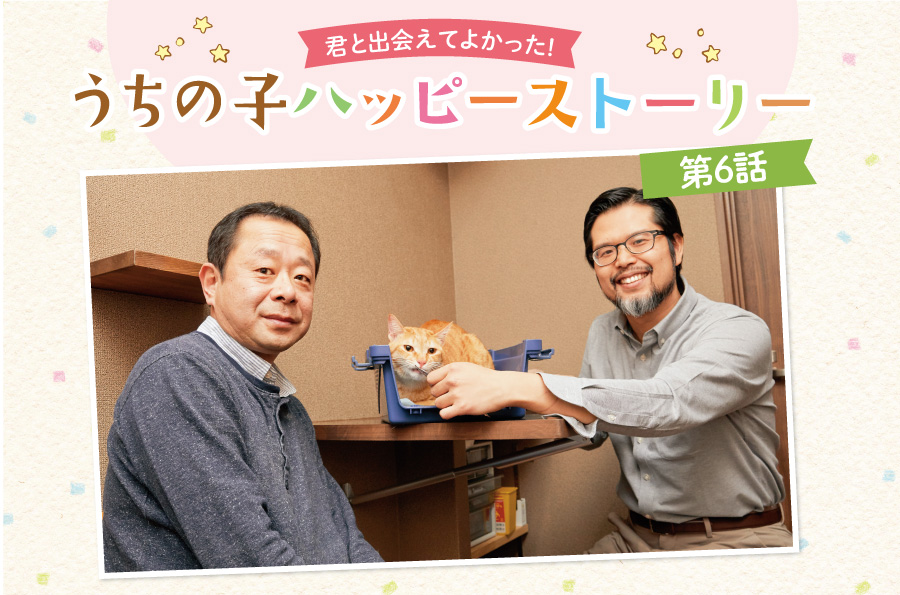 愛猫との毎日にはステキな瞬間も悩みもいっぱい