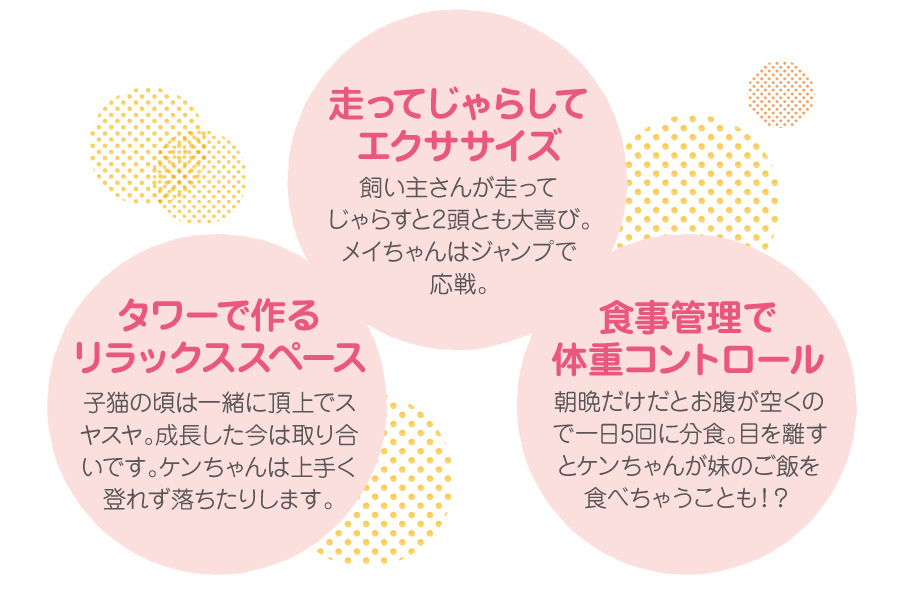 暮らしの中で大切にしていること