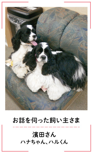 お話を伺った飼い主さま