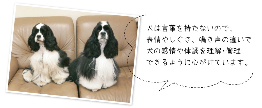ハナだけはどの先生にも愛想が良いんです