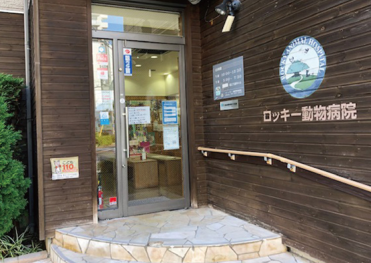 ロッキー動物病院