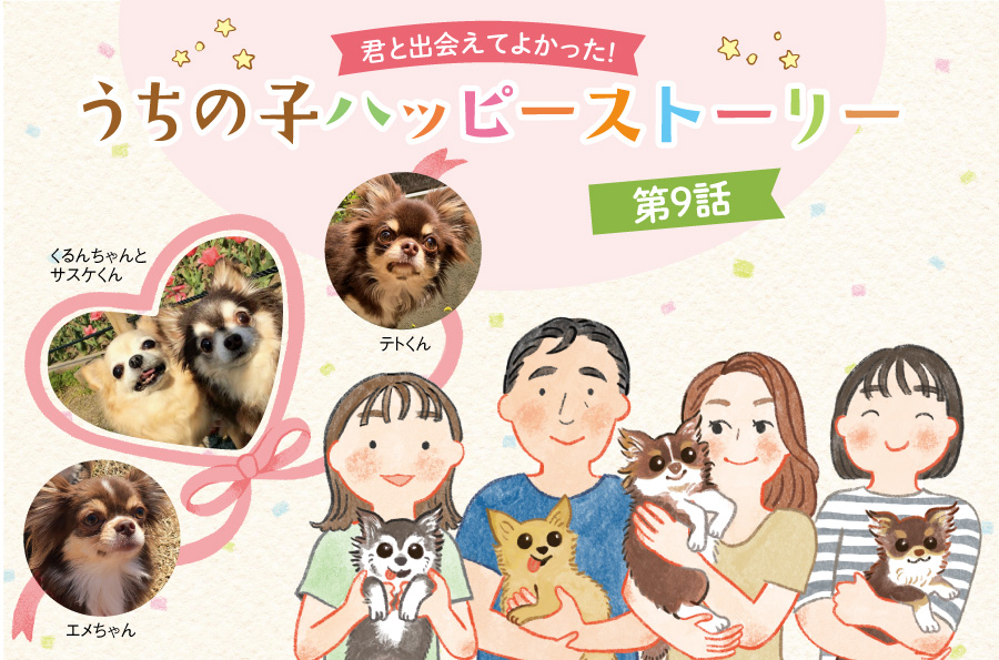 愛犬との毎日にはステキな瞬間も悩みもいっぱい