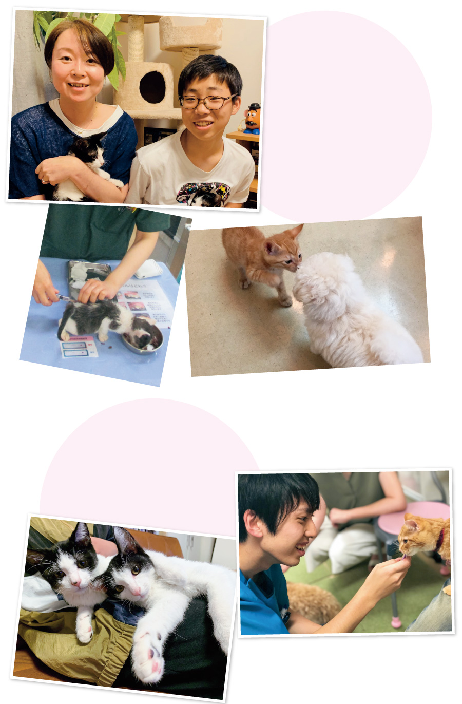 もみの木動物病院で歯磨きの大切さを教えて頂いた