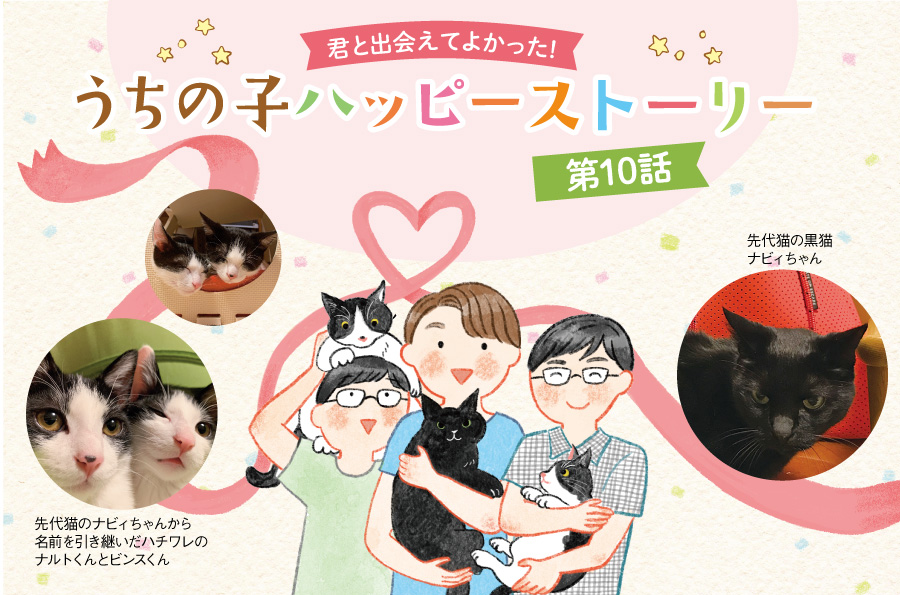 愛猫との毎日にはステキな瞬間も悩みもいっぱい