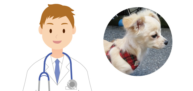 親身になってアドバイスをいただける動物病院に助けられました。