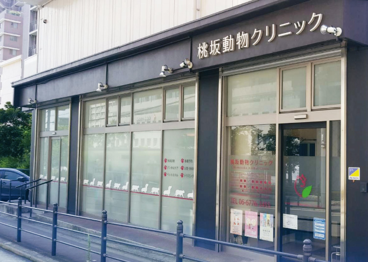 桃坂動物病院