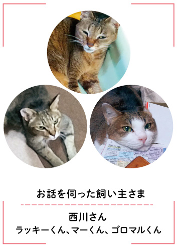 お話を伺った飼い主さま