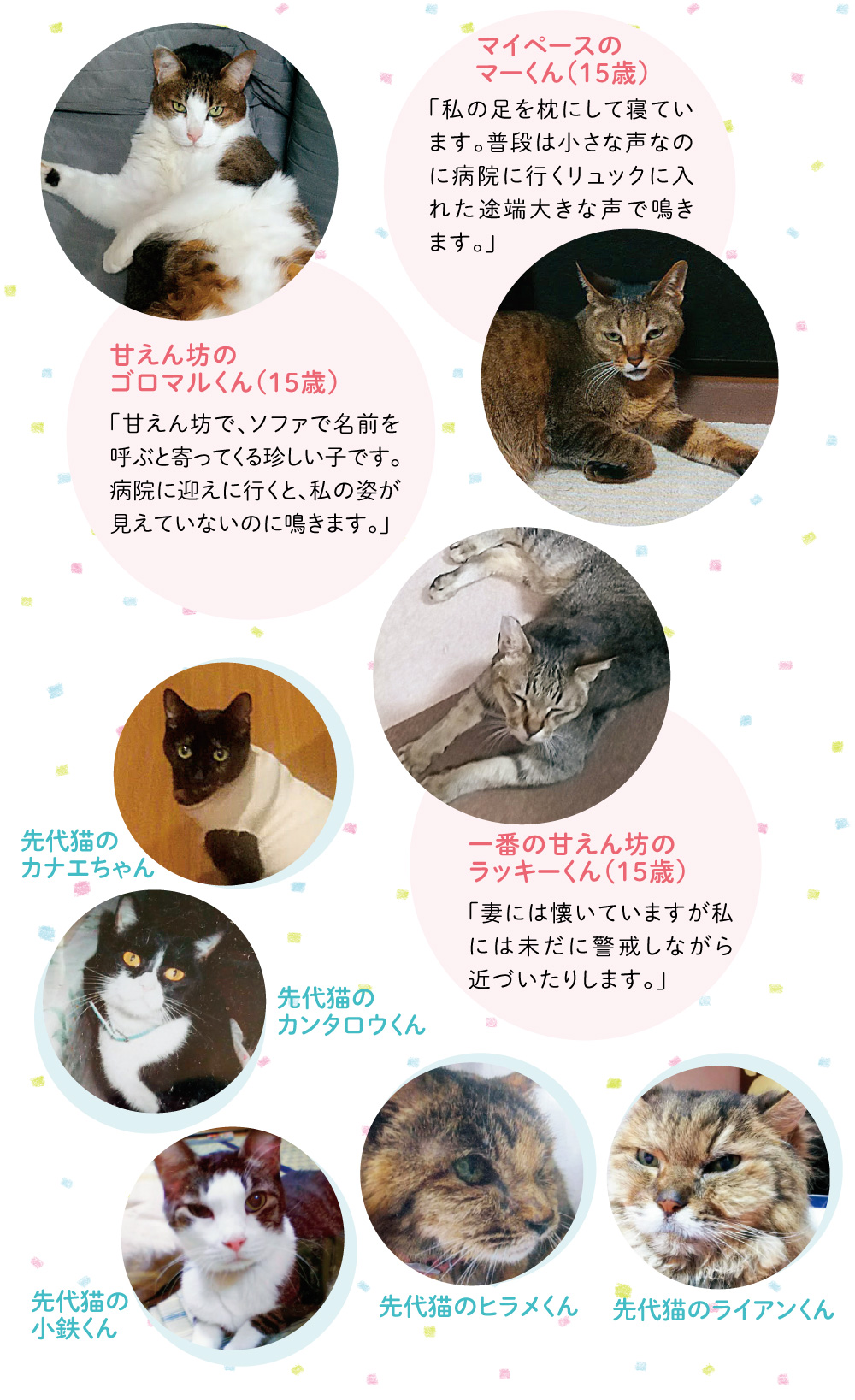 西川さんのご家族をご紹介