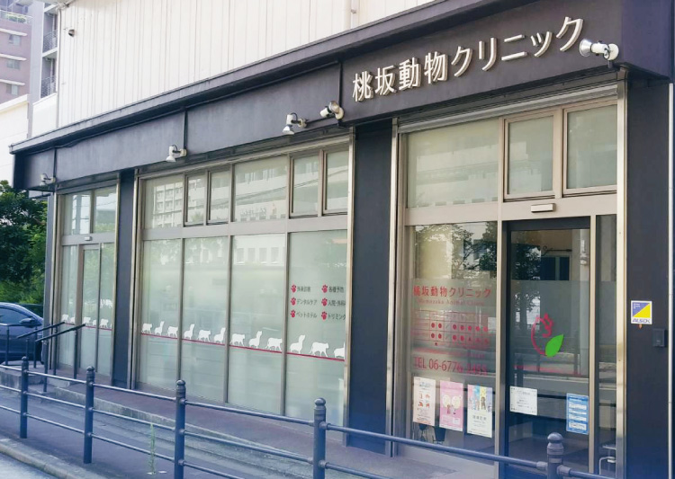 桃坂動物クリニック