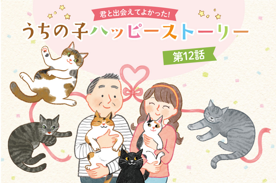 愛猫との毎日にはステキな瞬間も悩みもいっぱい