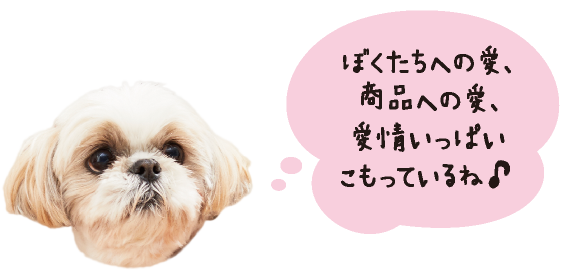 わんにゃん調査隊 手織り首輪ウーヴンプラスの制作現場を訪問しました ペット用品の通販サイト ペピイ Peppy