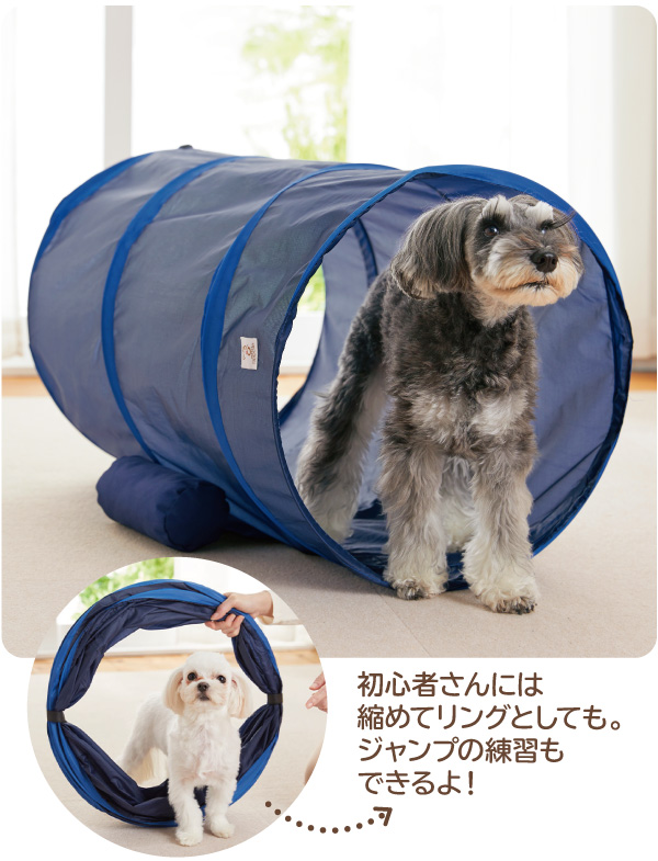 トンネル