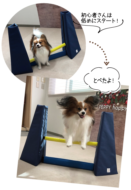 Sippole 2WAYスクエアベッド