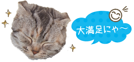 ガードスーツ 猫用ウェア ペット用品の通販サイト ペピイ Peppy