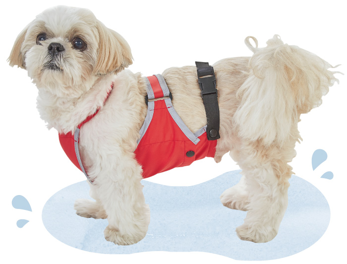 泥よけエプロン レインコート マントタイプ ペット用品の通販サイト ペピイ Peppy