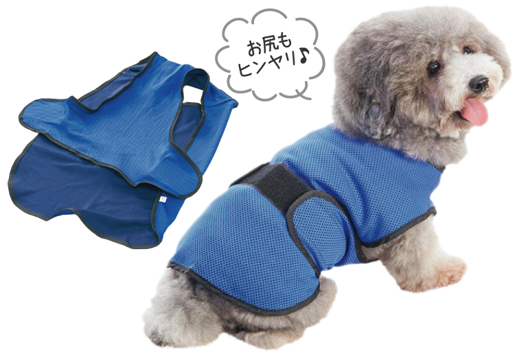クーリングコート お出かけ お散歩用品 ペット用品の通販サイト ペピイ Peppy クーリングコート お出かけ お散歩用品 ペット用品の通販サイト ペピイ Peppy