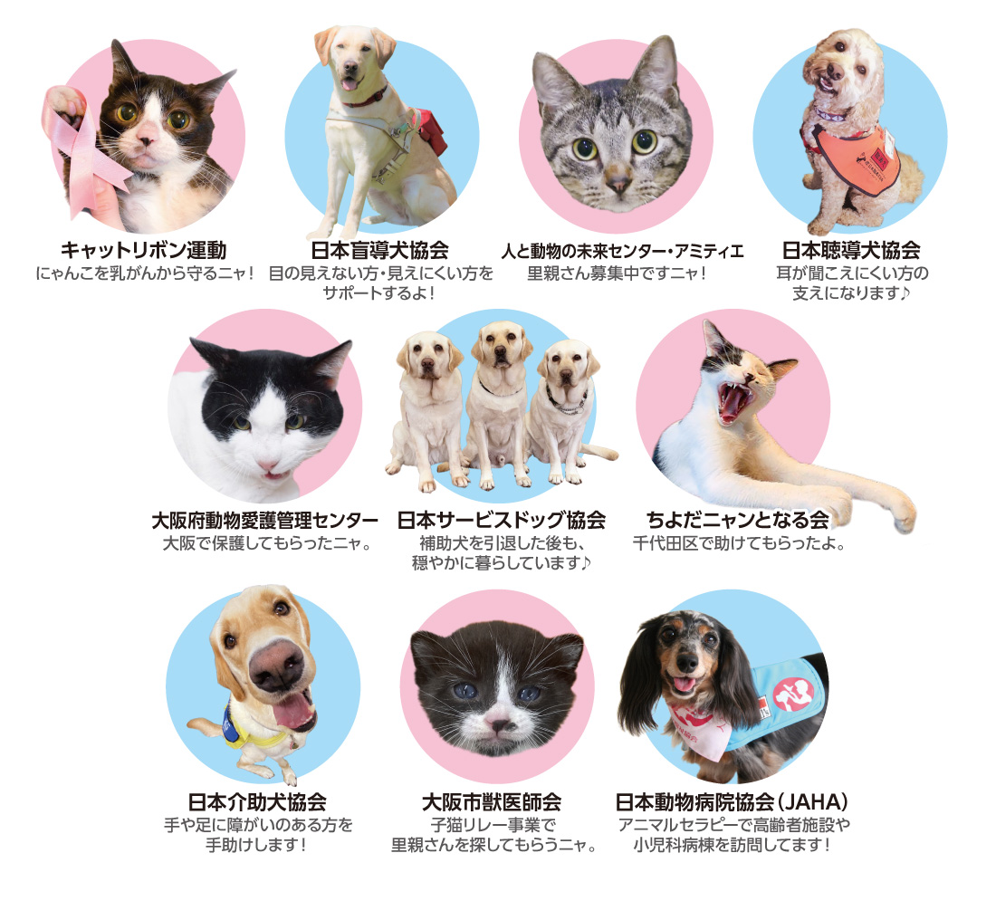 お買い物で、保護犬猫や盲導犬たちを支援