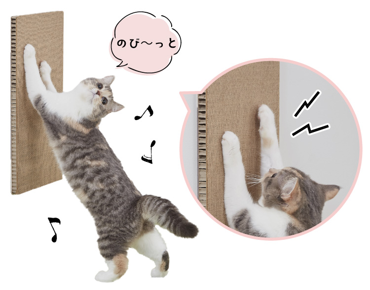 吸着壁に貼れる猫の爪とぎ 引っ掻き対策 ペット用品の通販サイト ペピイ Peppy